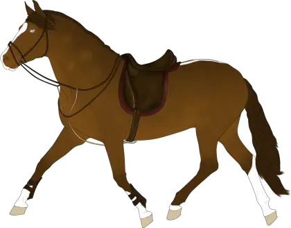Brown Horse with Saddle for Riding