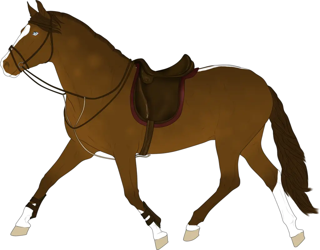 Brown Horse with Saddle for Riding