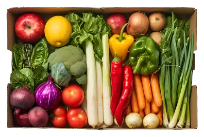 Fresh Vegetables in a Box