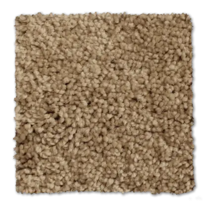 Beige Textured Carpet Sample
