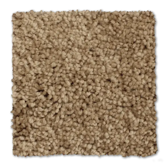 Beige Textured Carpet Sample