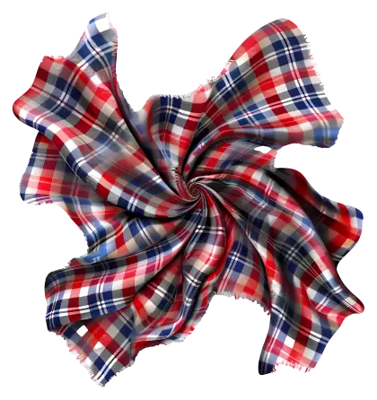 Red and Blue Checkered Fabric Twirl Design