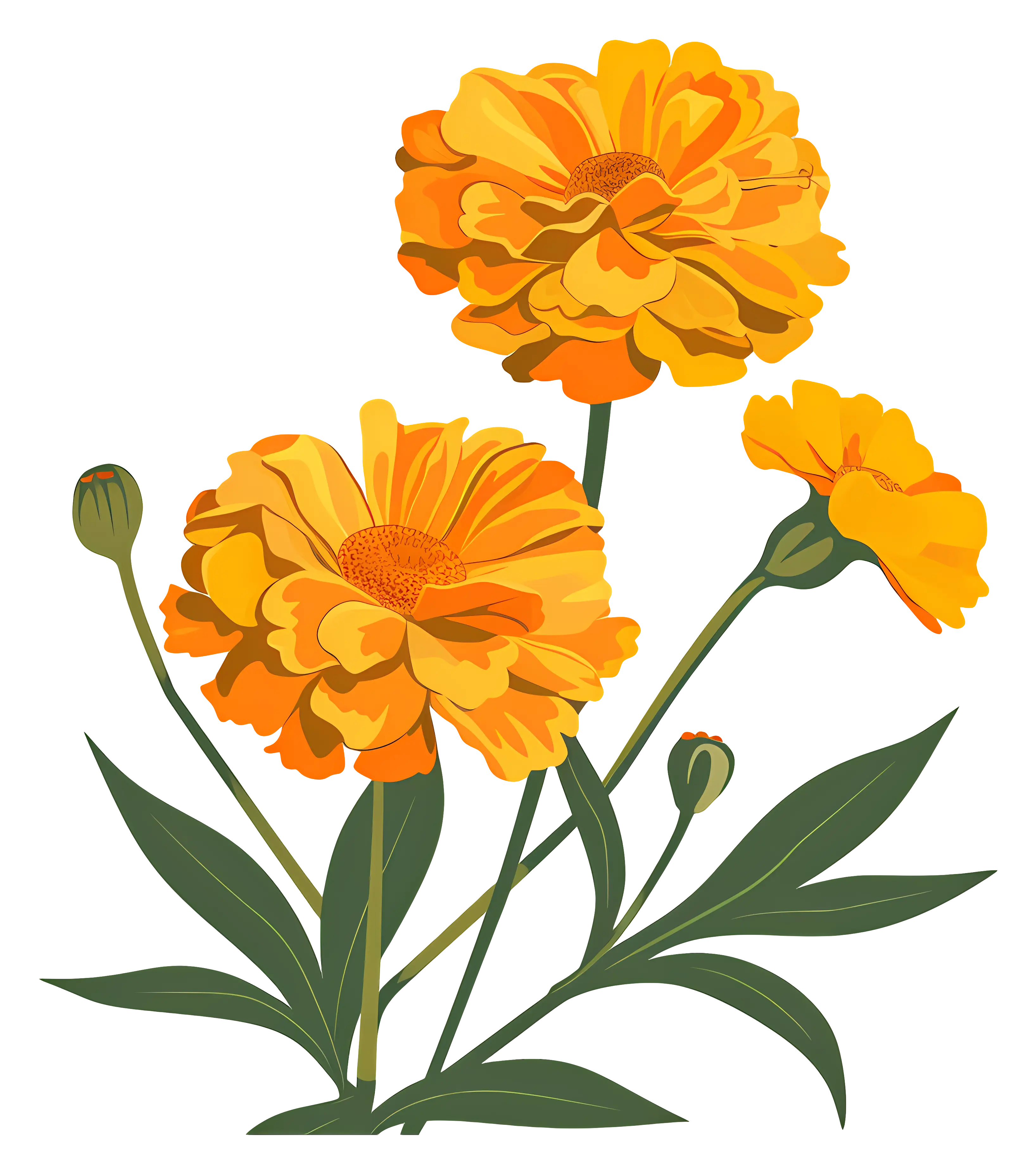 Bright Yellow Marigold Flowers in Bloom