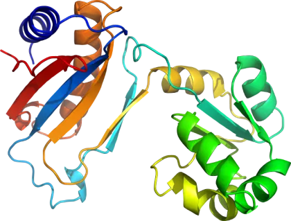 Colorful Protein Structure Illustration for Science