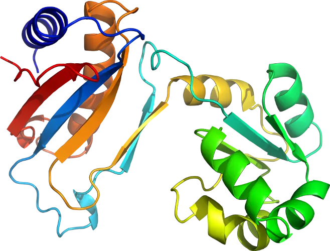Colorful Protein Structure Illustration for Science
