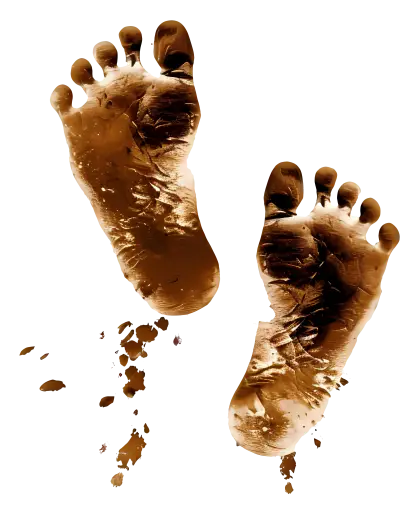 Muddy Footprints Illustration