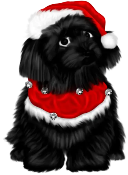 Black Dog in Christmas Outfit