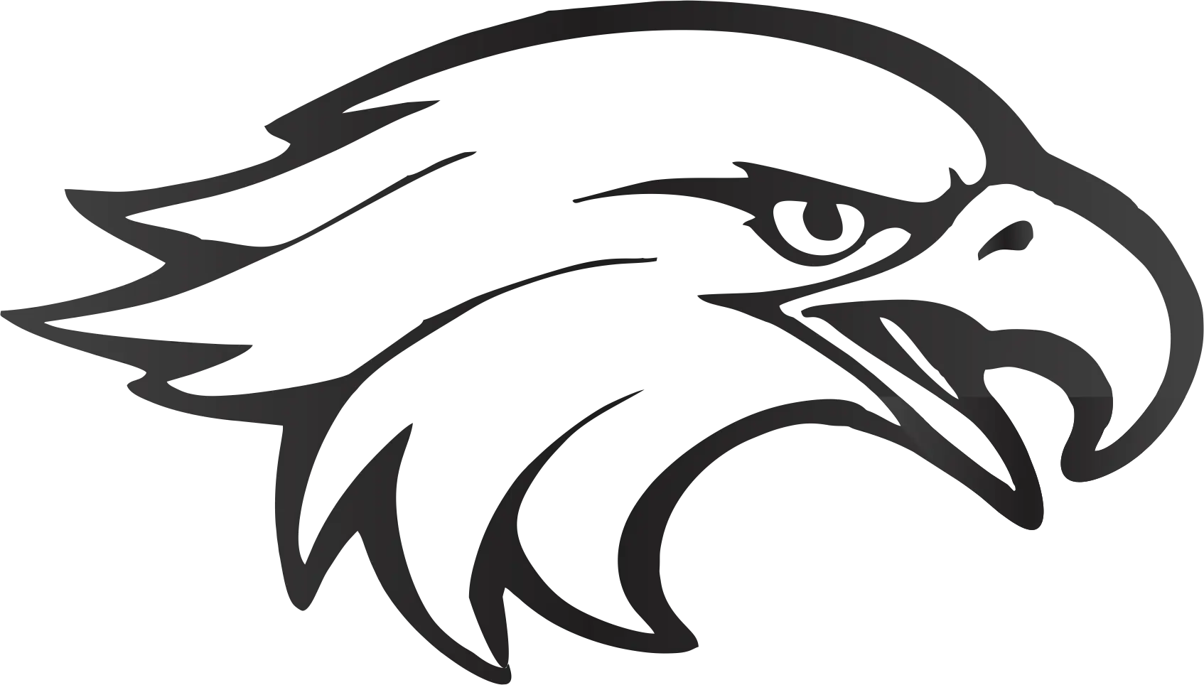 Eagle Head Illustration