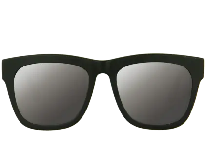 Classic Black Sunglasses with Tinted Lenses