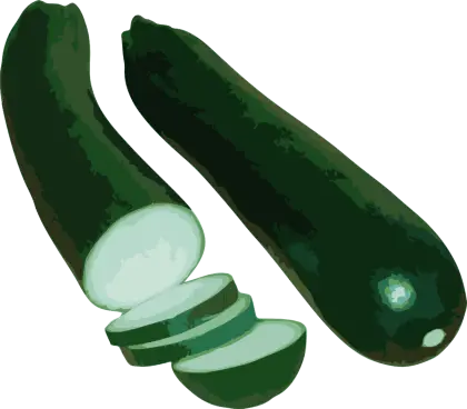 Green Zucchini Sliced