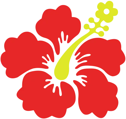 Red Hibiscus Flower Illustration