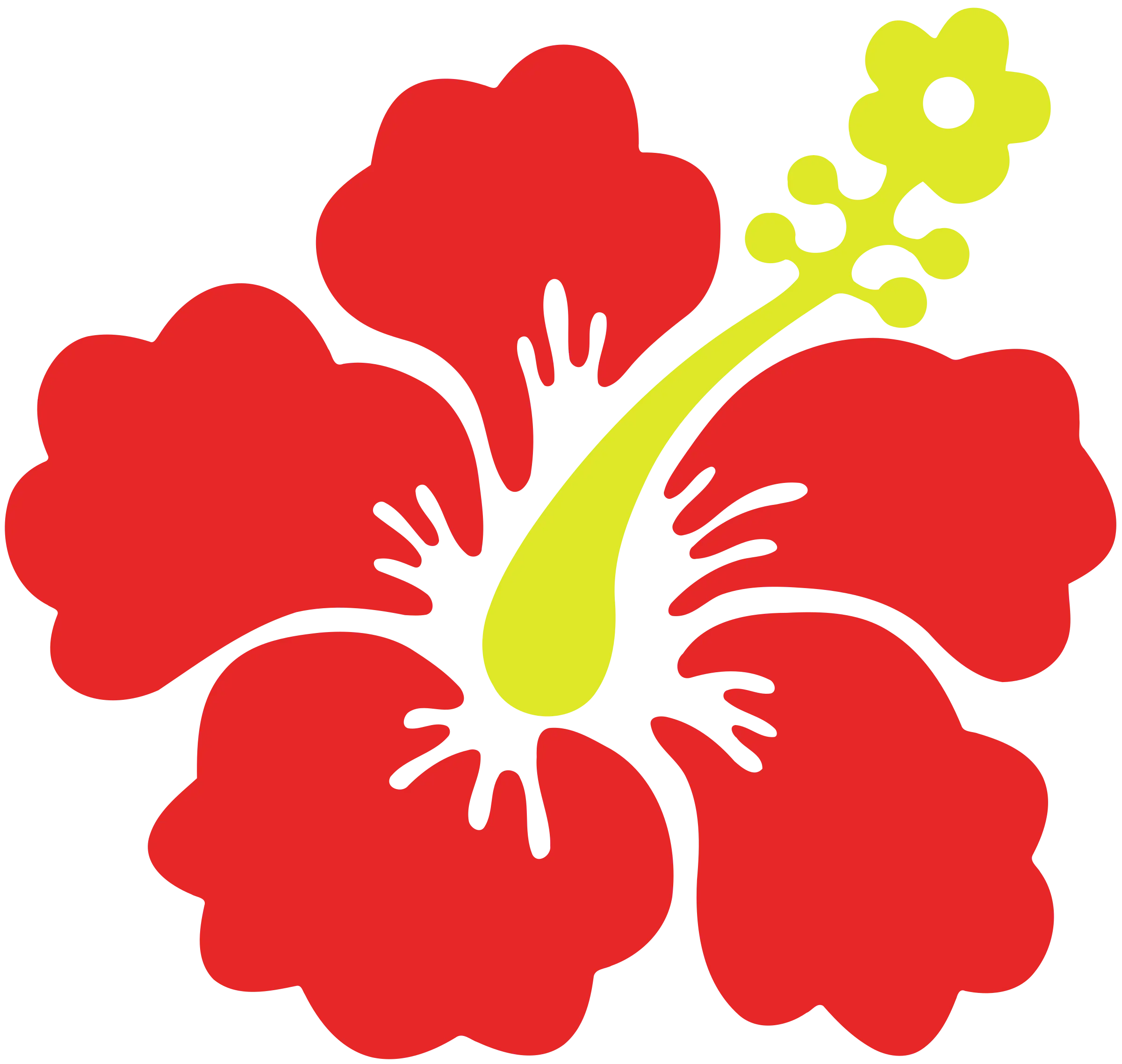 Red Hibiscus Flower Illustration