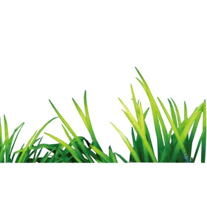 Bright Green Grass Blades