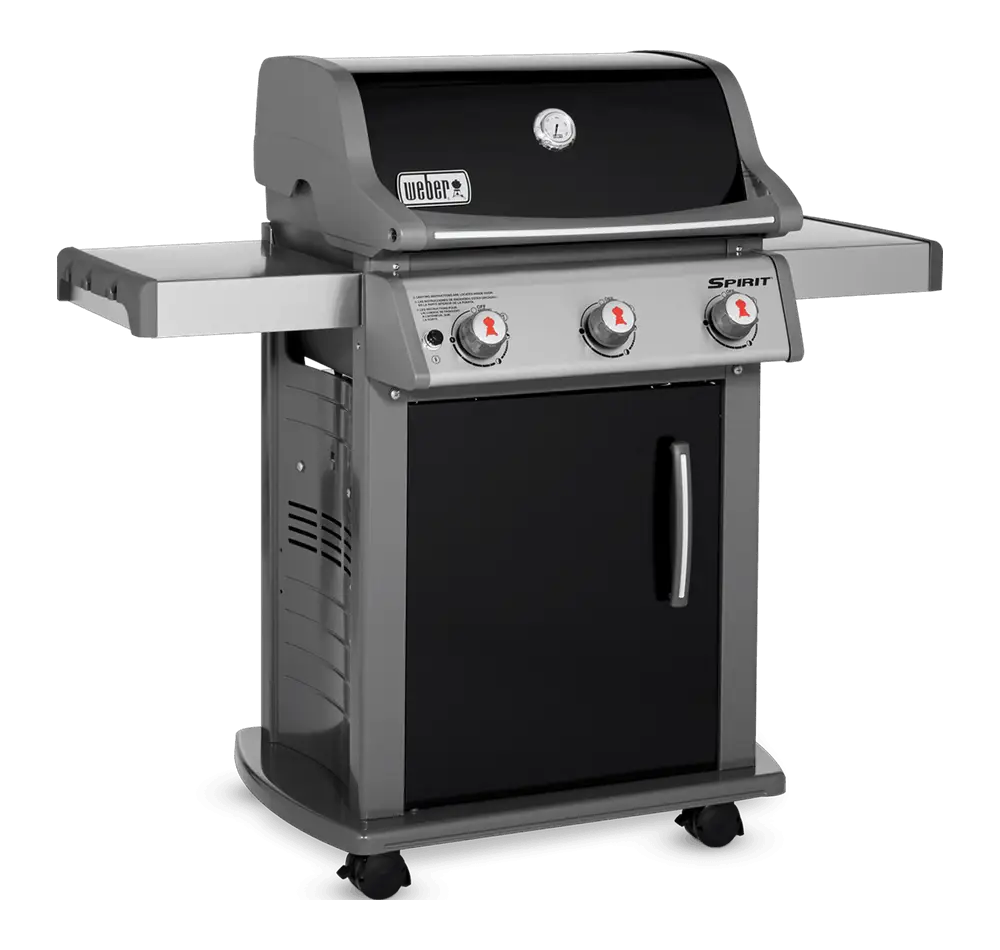 Outdoor Gas Barbecue Grill