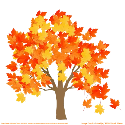 Autumn Tree with Vibrant Yellow and Orange Leaves