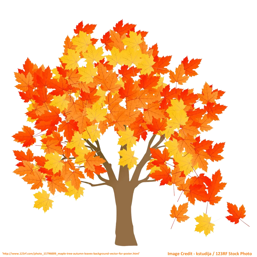 Autumn Tree with Vibrant Yellow and Orange Leaves