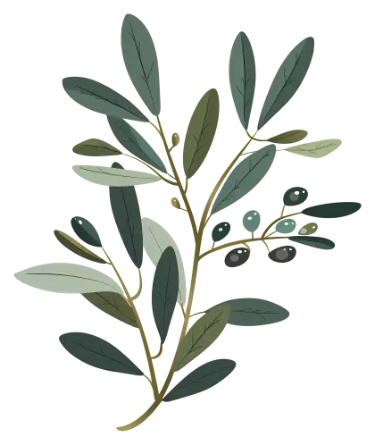 Peaceful Olive Branch Illustration