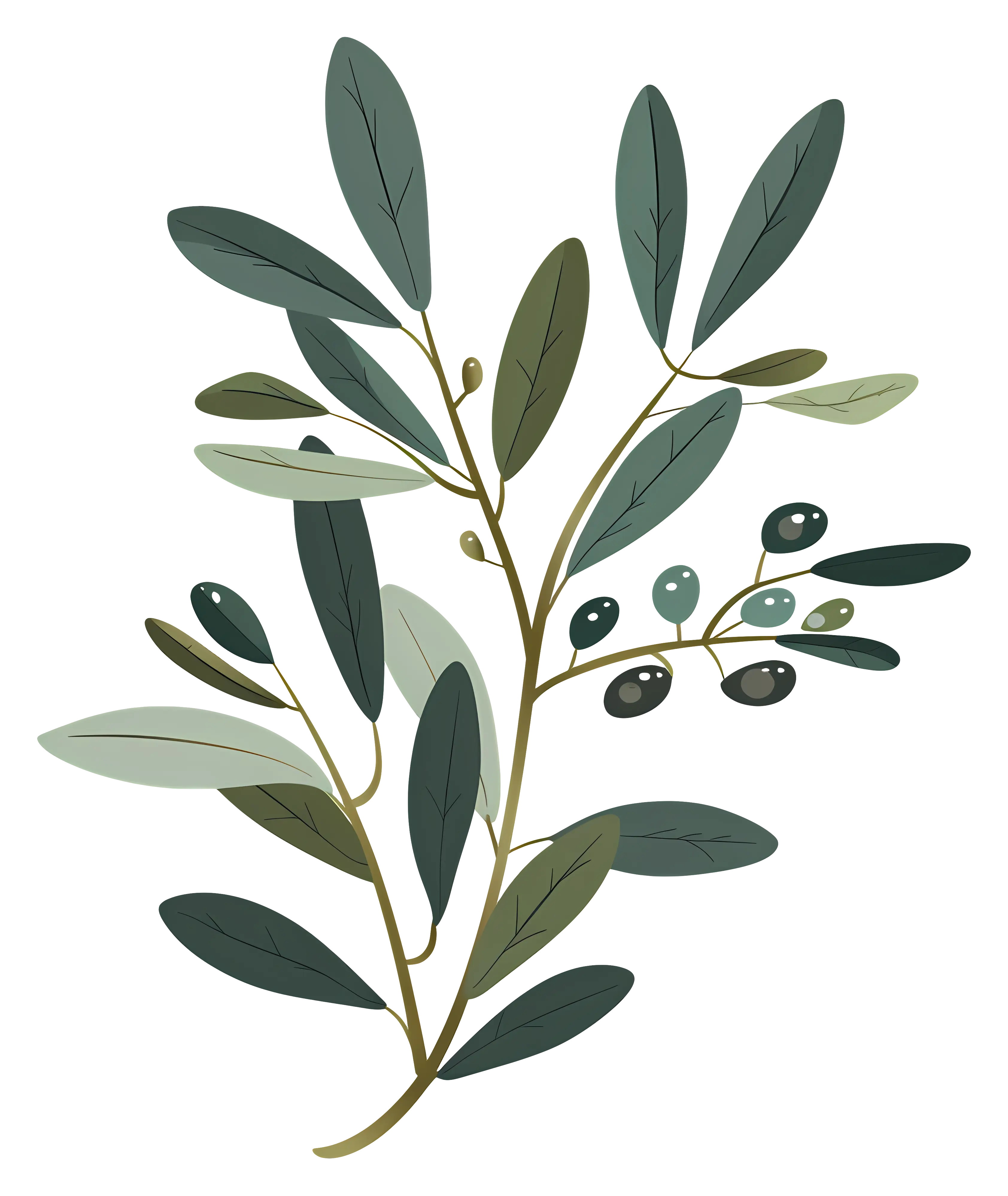 Peaceful Olive Branch Illustration