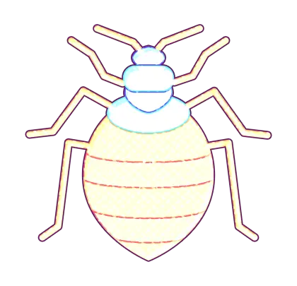 Illustration of a Bug