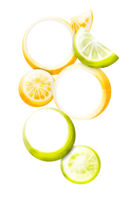 Colorful Citrus Slices