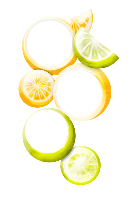 Colorful Citrus Slices