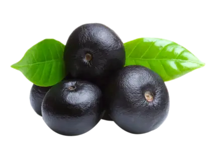 Fresh Acai Berries with Leaves