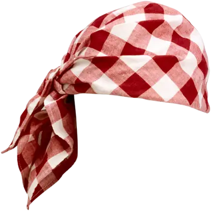 Red and White Checkered Bandana