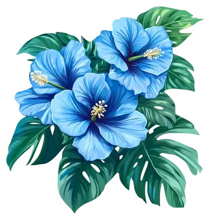 Vibrant Blue Hibiscus Flowers