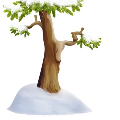 Snow-Covered Tree