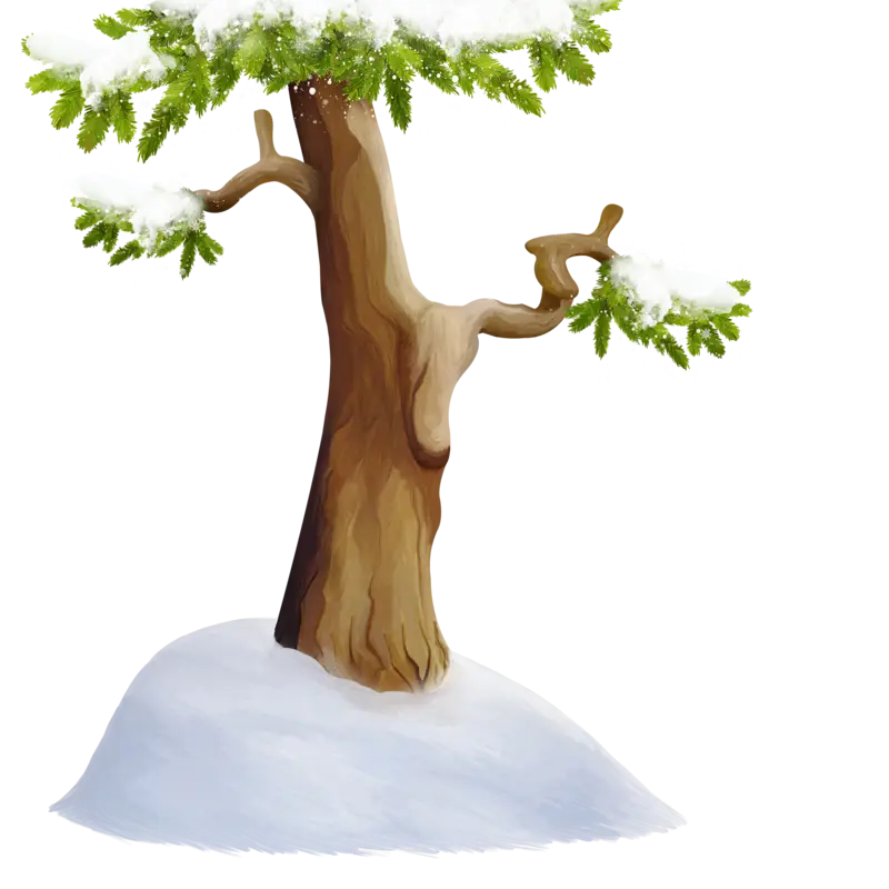 Snow-Covered Tree