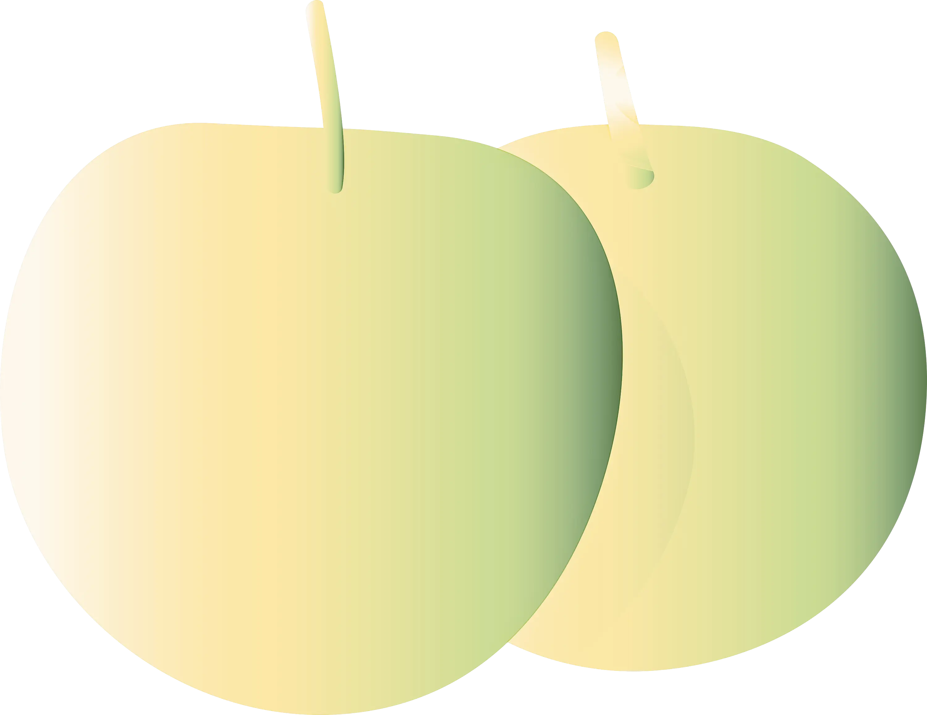 Illustration of Yellow Apples with Shading