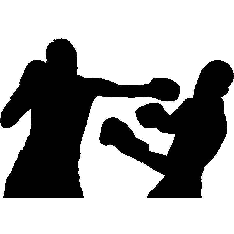 Boxing Silhouettes in Action