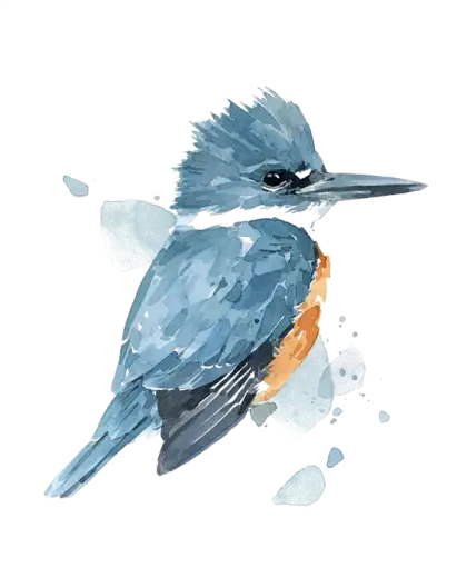 Beautiful Watercolor Bird Painting