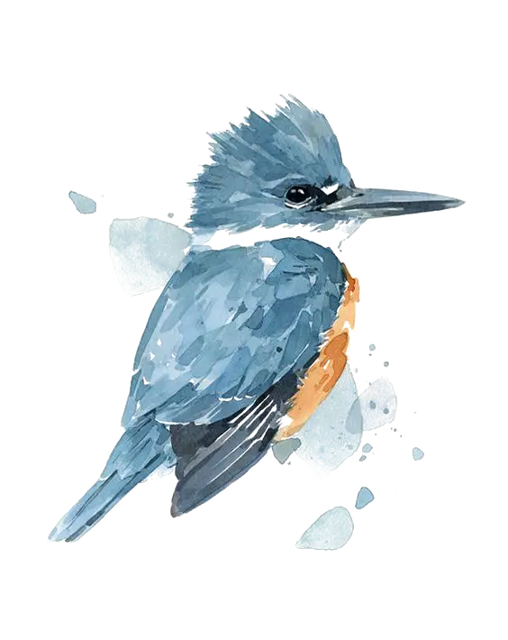 Beautiful Watercolor Bird Painting