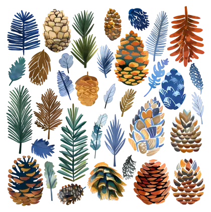 Collection of Pinecones and Colorful Leaves