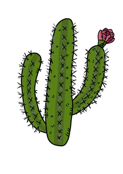 Cactus with Blooming Flower Illustration