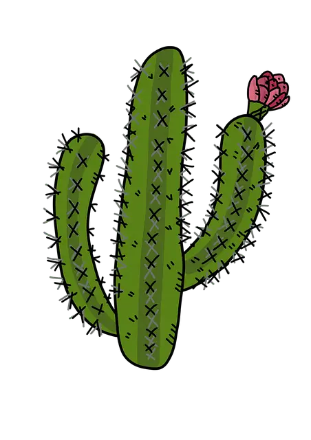 Cactus with Blooming Flower Illustration