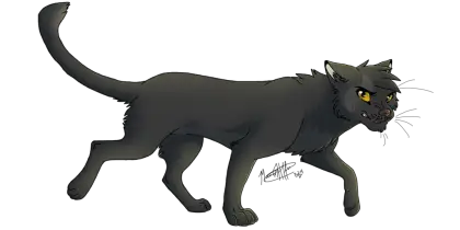 Black Cat Illustration in Walking Pose