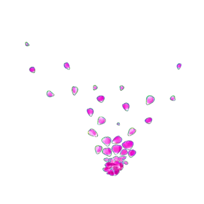 Scattered Pink Flower Petals