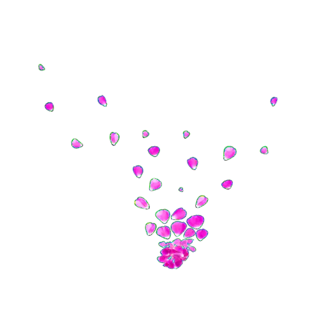 Scattered Pink Flower Petals