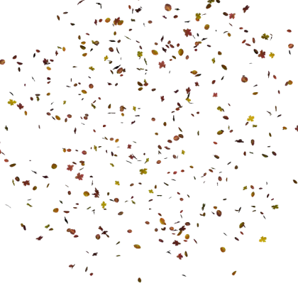 Scattered Falling Leaves in Autumn