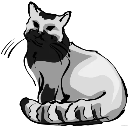 Black and White Cat Illustration Artwork