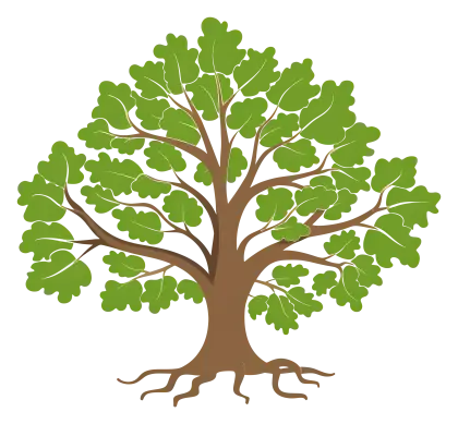 Green Oak Tree Illustration with Roots