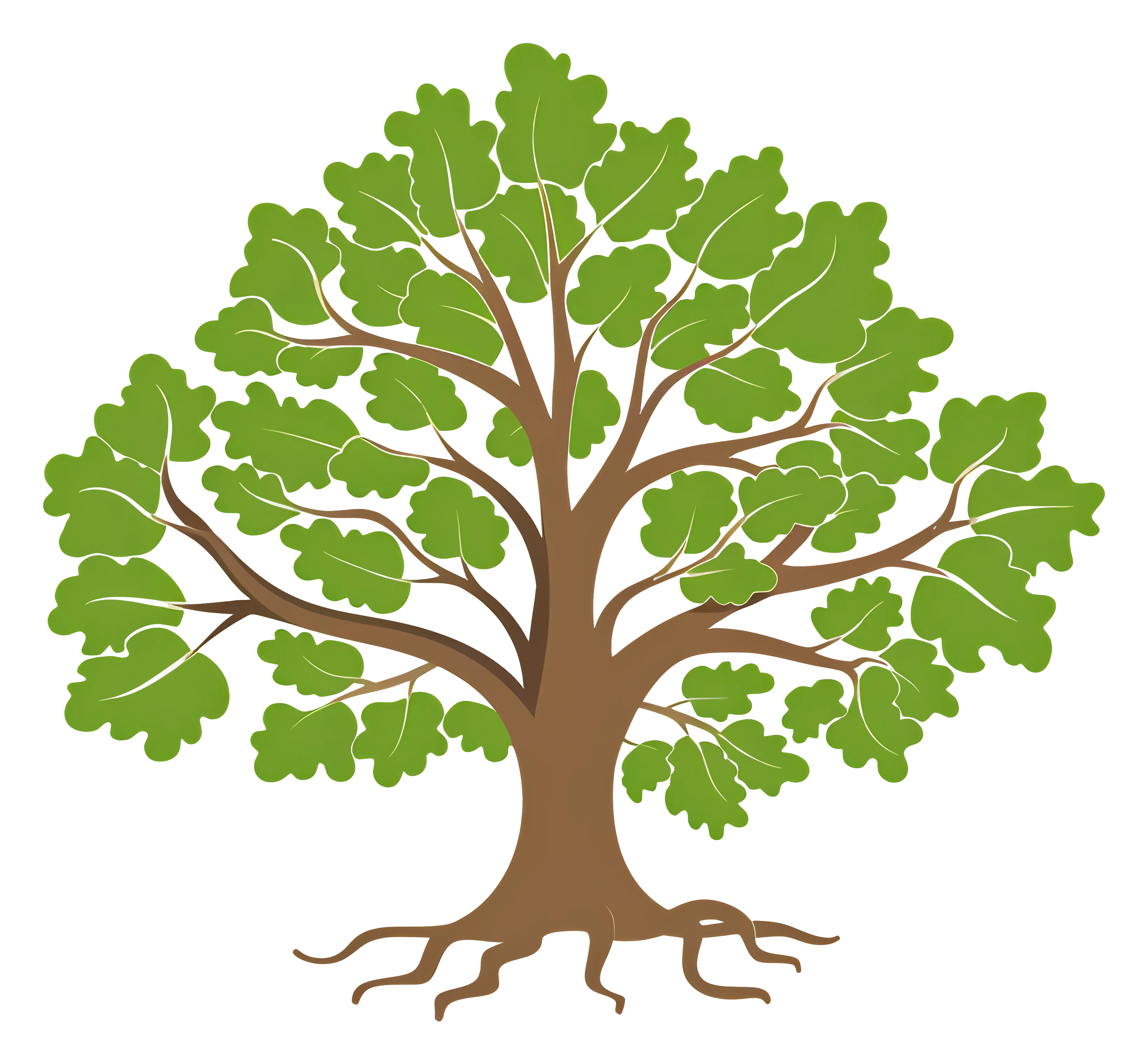 Green Oak Tree Illustration with Roots