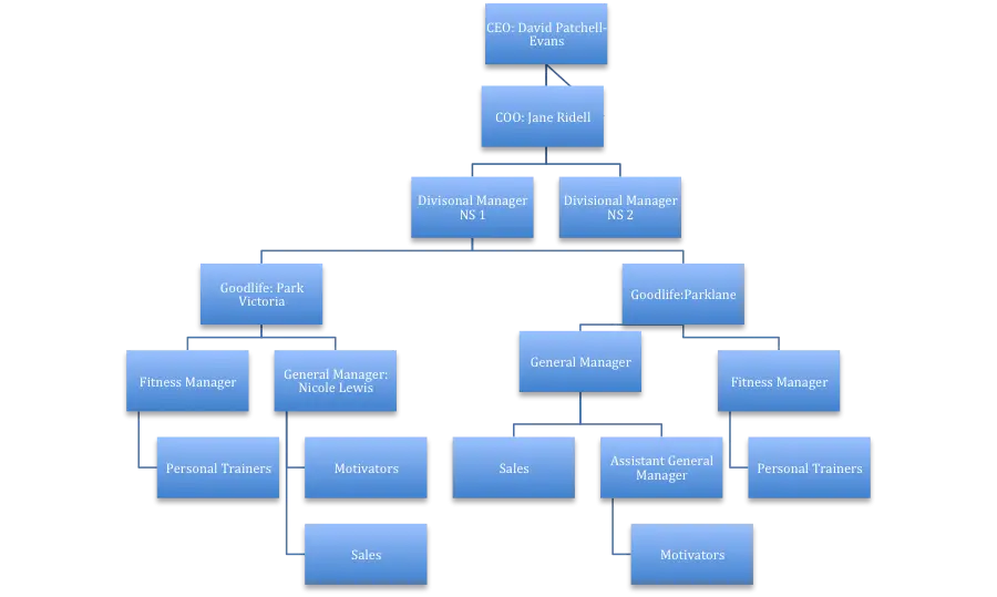 Company Organizational Chart
