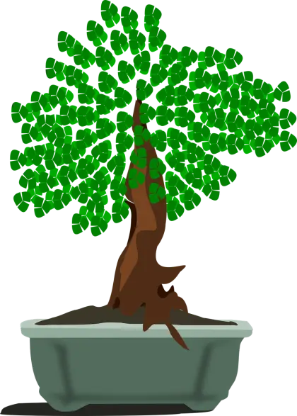 Bonsai Tree in Pot for Minimalist Decor