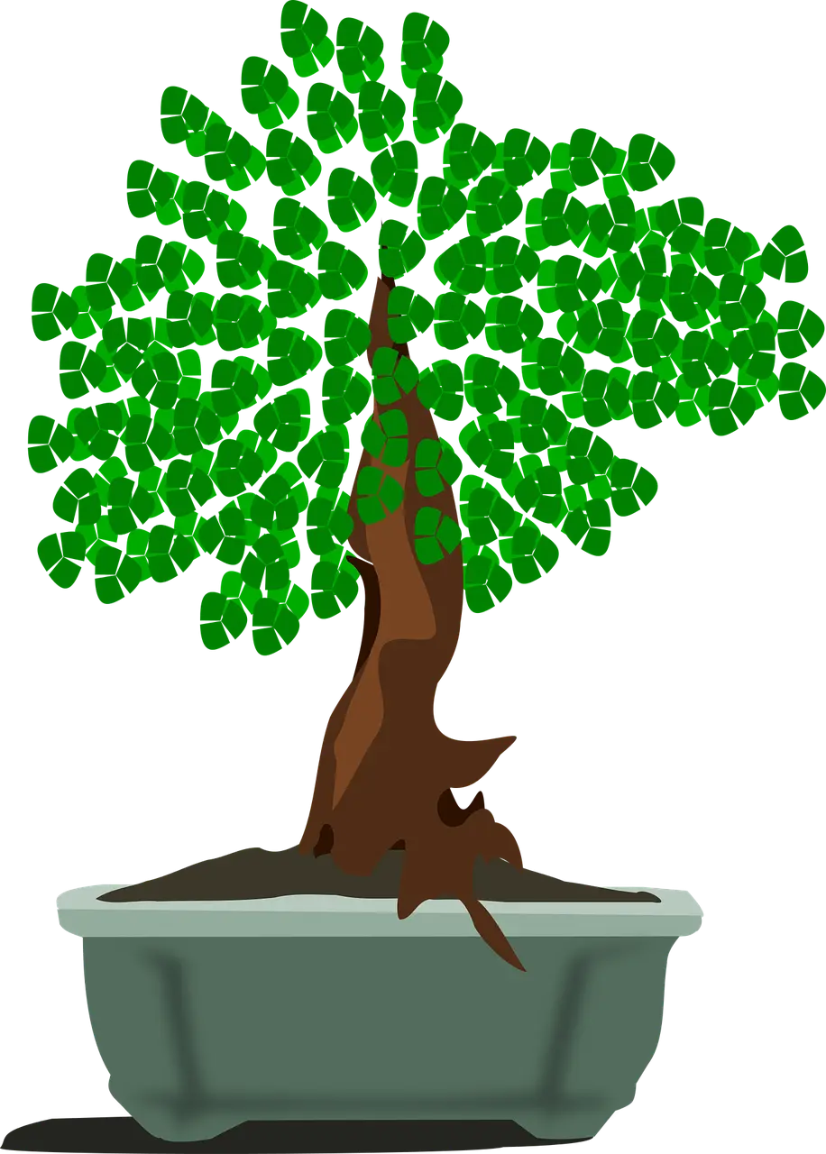 Bonsai Tree in Pot for Minimalist Decor