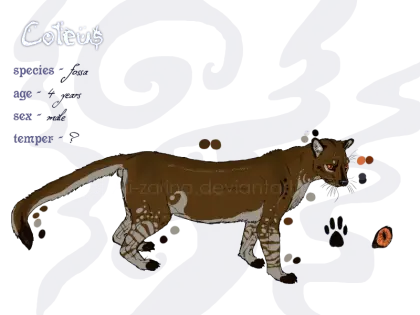 Creative Wild Feline Concept Art
