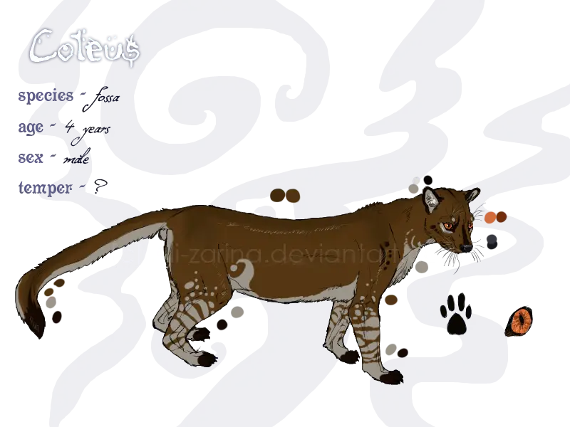 Creative Wild Feline Concept Art