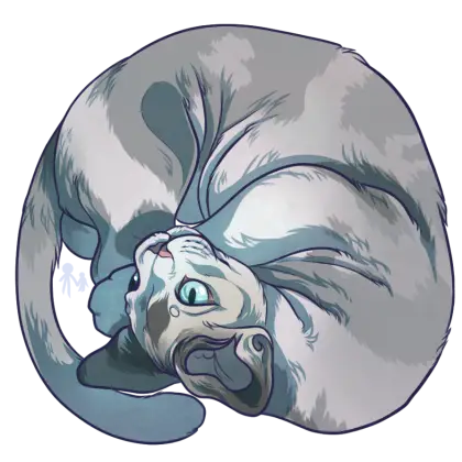 Curled Cat Illustration